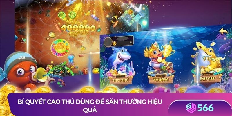 Bí quyết cao thủ dùng để săn thưởng hiệu quả