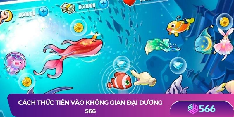 Cách thức tiến vào không gian đại dương 566