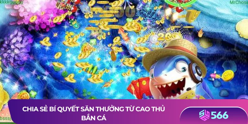 Chia sẻ bí quyết săn thưởng từ cao thủ bắn cá