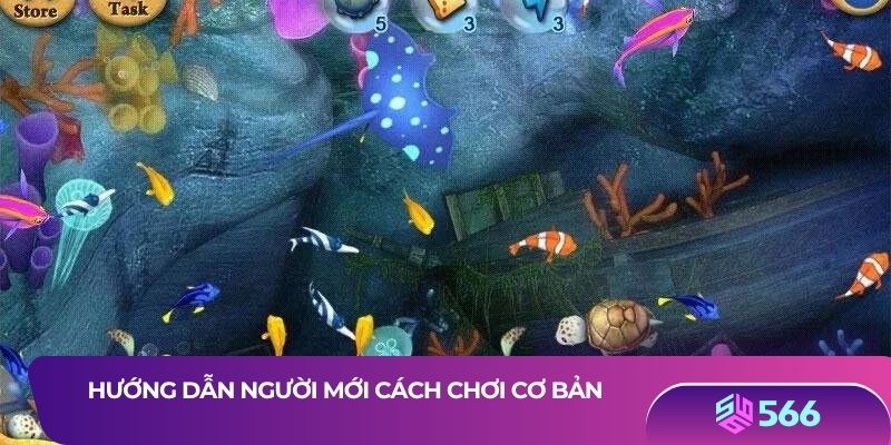 Hướng dẫn người mới cách chơi cơ bản